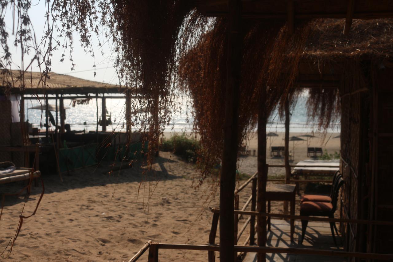 Huts On Arambol Beach Exterior photo